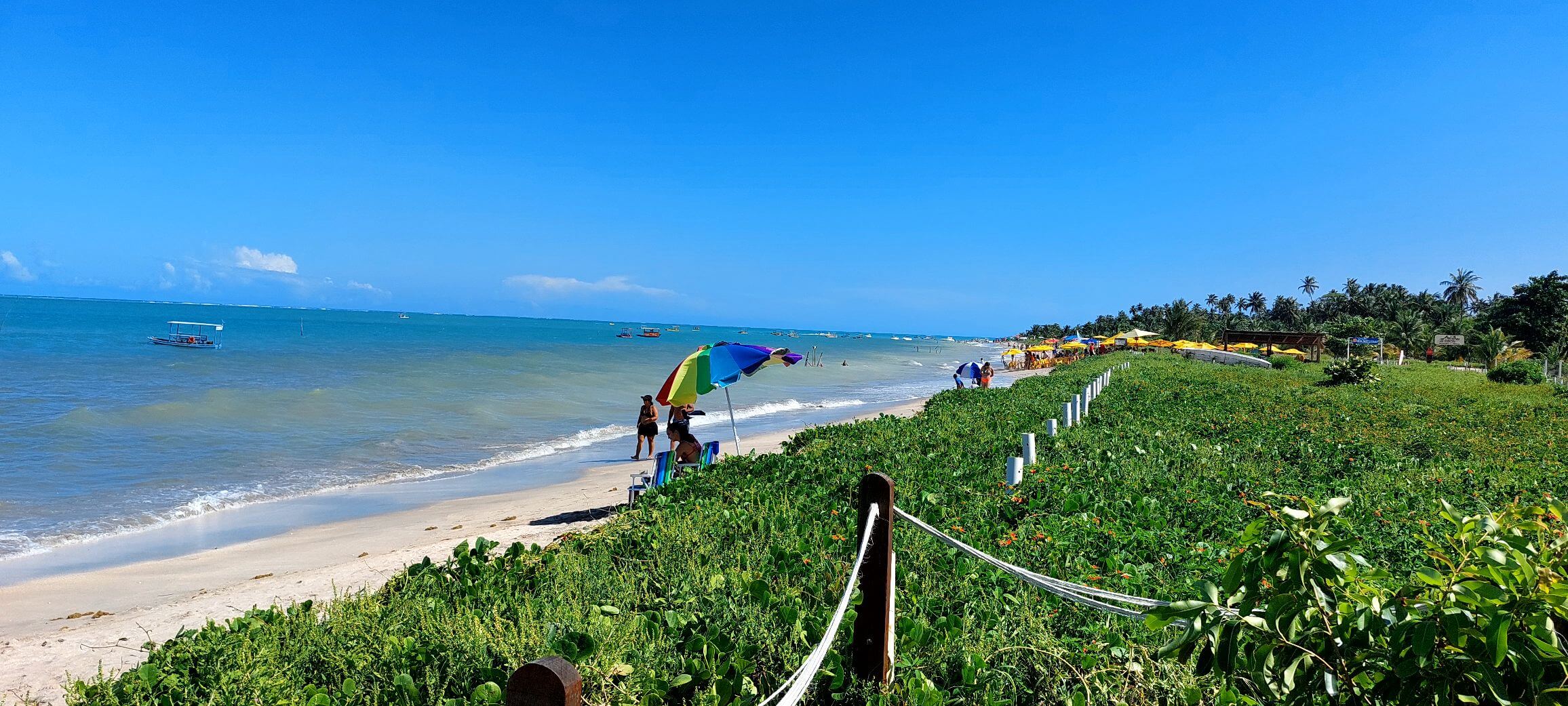 Praia de Antunes em Alagoas: guia completo