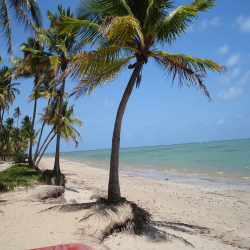 O que fazer na Praia do Patacho