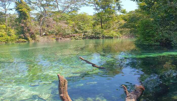 Lagoa do Japonês em Pindorama